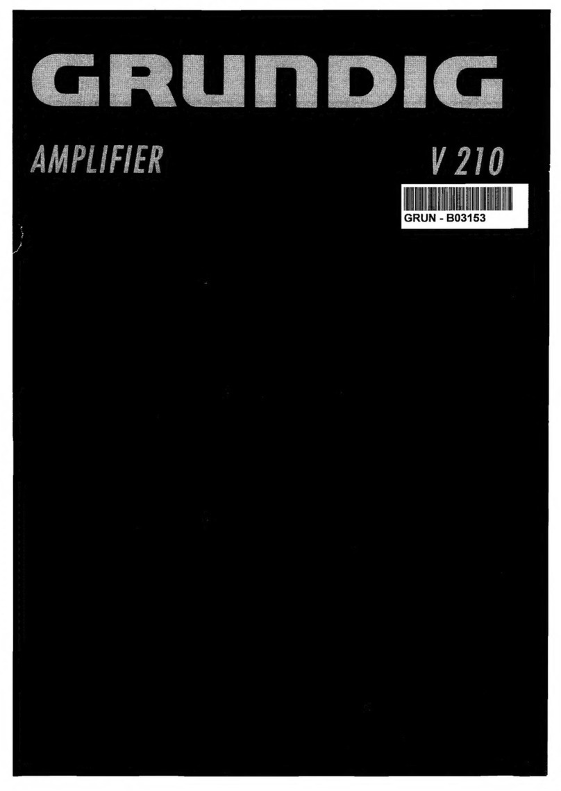 Grundig V 210 User manual