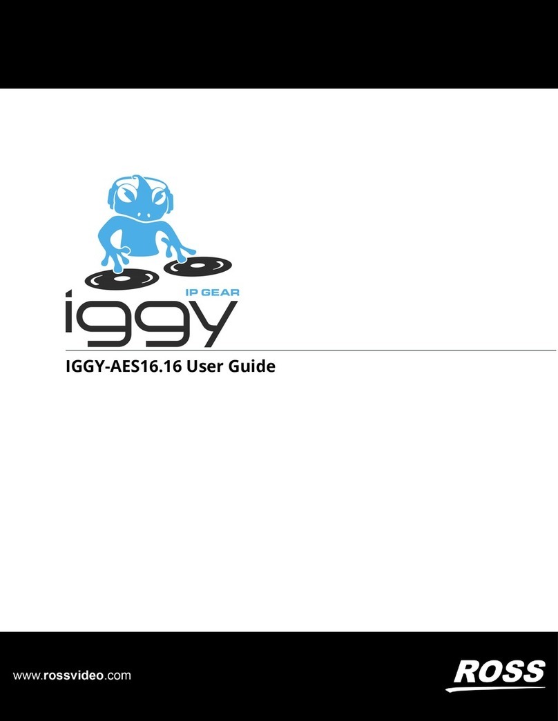 Ross IGGY-AES16-16 user guide