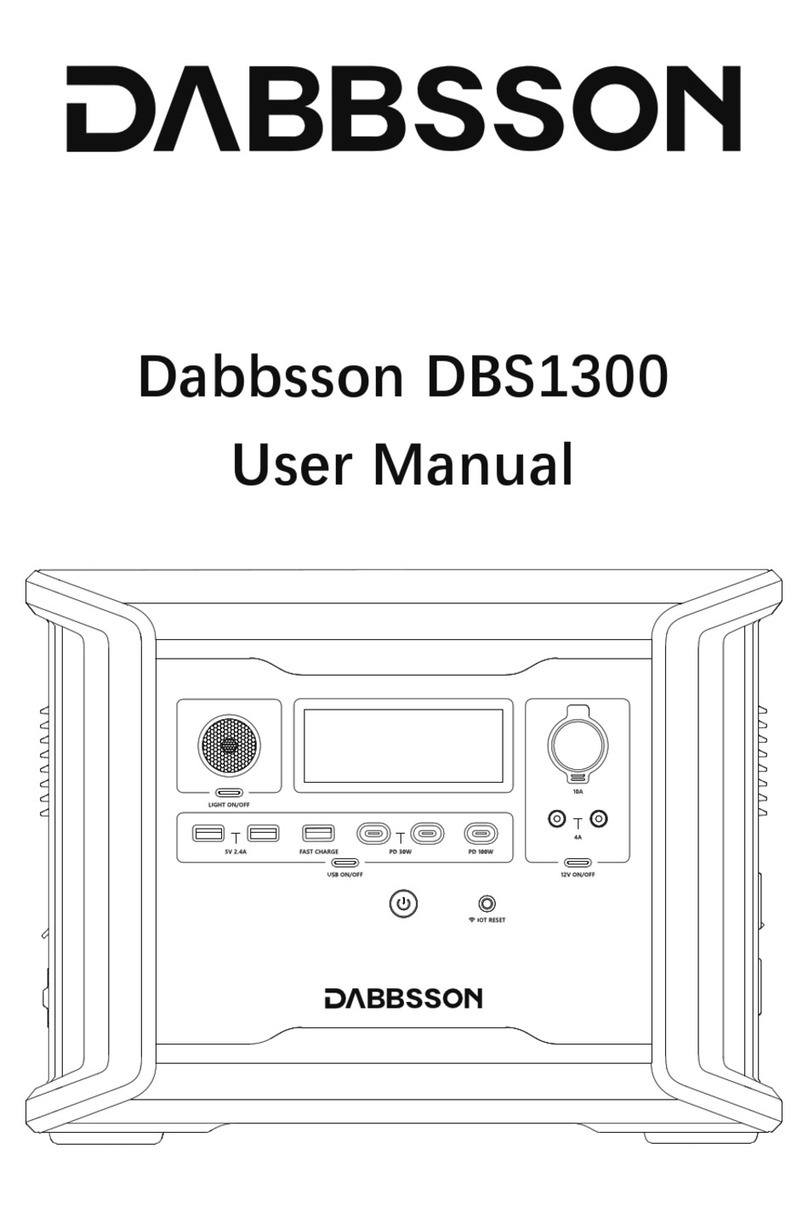 DABBSSON DBS1300 user manual