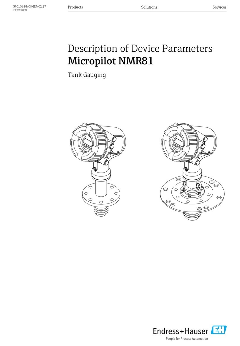 Endress+Hauser Micropilot NMR81 manual