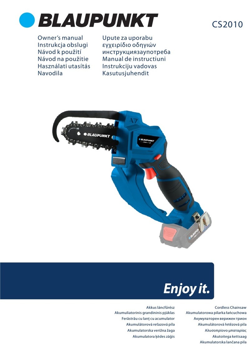 Blaupunkt CS2010 owner's manual