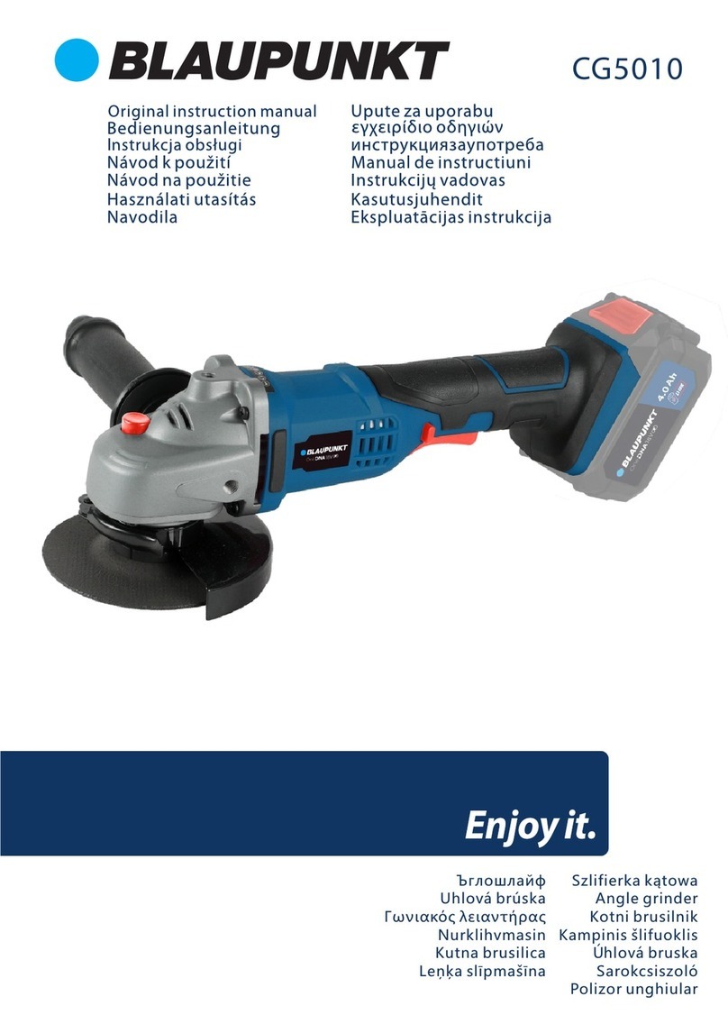 Blaupunkt CG5010 User guide