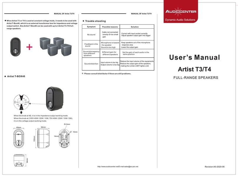 Audiocenter ARTIST T4 user manual