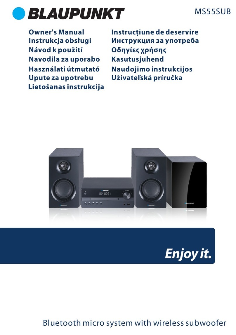 Blaupunkt MS55SUB User manual