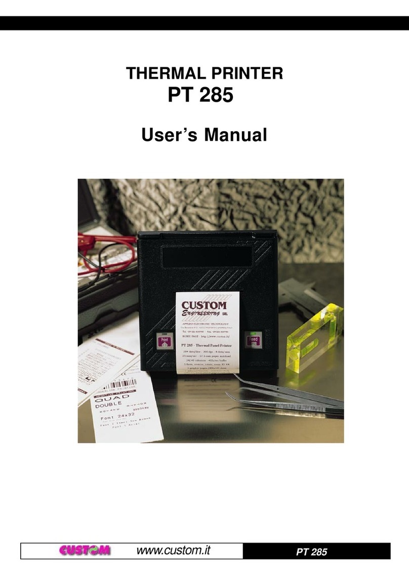 Custom Audio Electronics PT 285 User manual