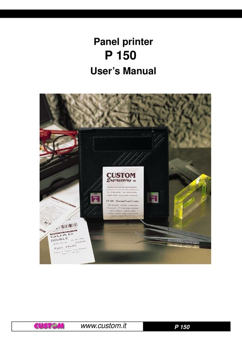 Custom Audio Electronics P 150 User manual