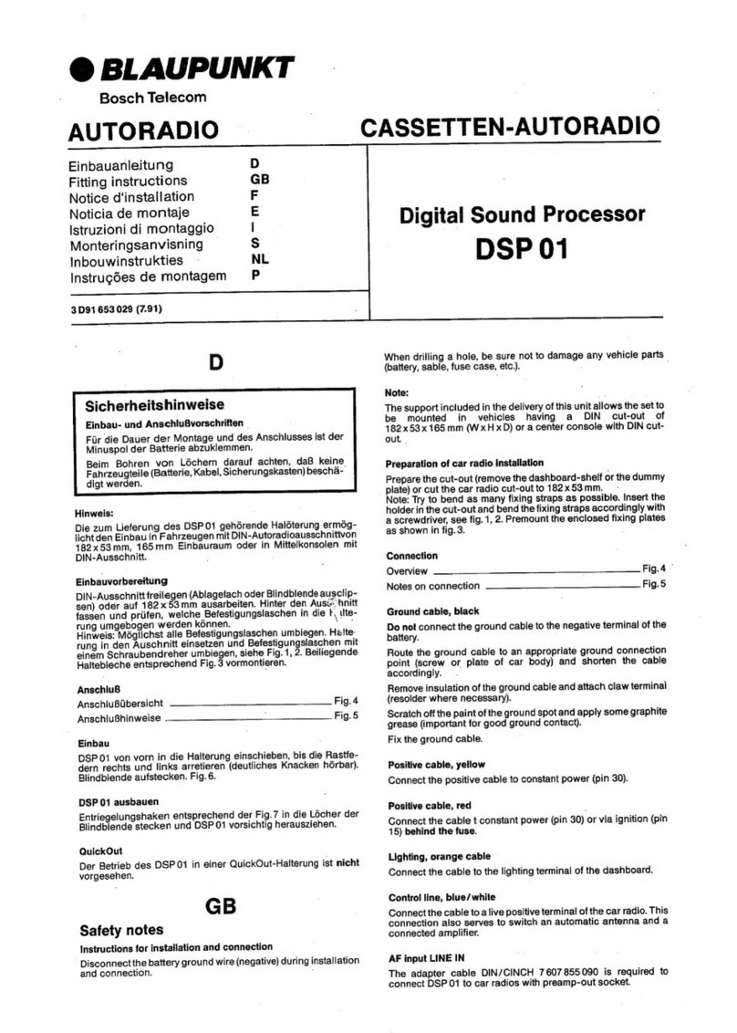 Blaupunkt DSP 01 quick start guide