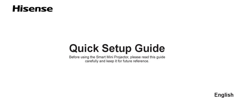 Hisense C1 User manual