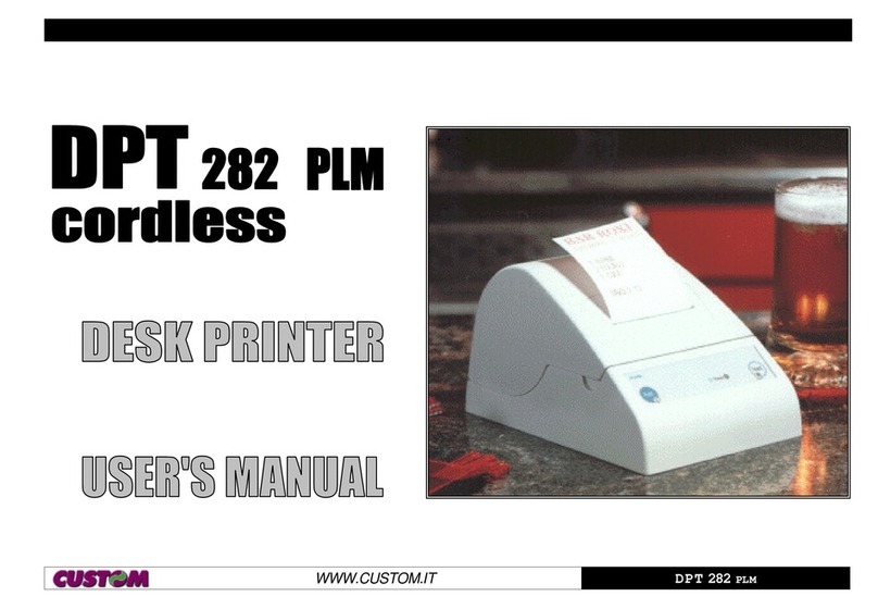 Custom Audio Electronics DPT 282 PLM User manual