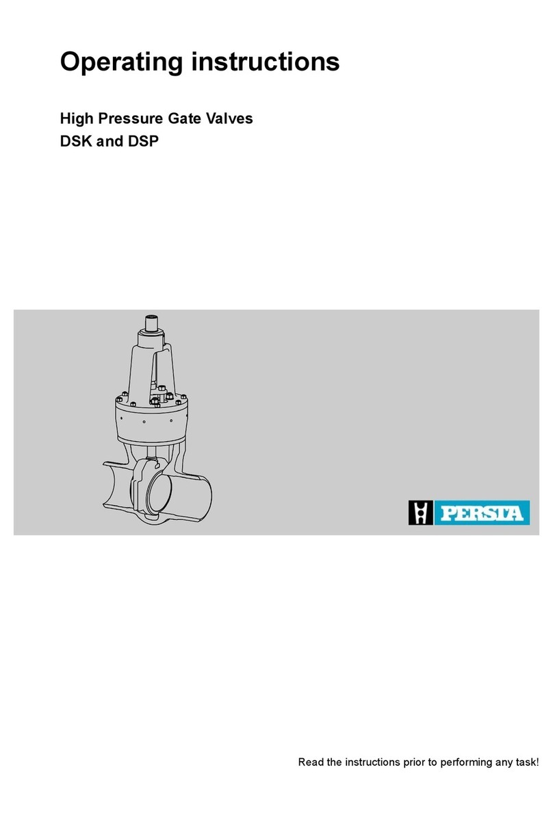 PERSTA DSK 10 User manual