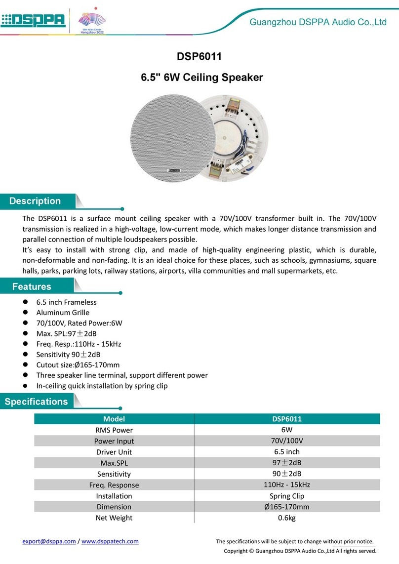 DSPPA DSP6011 User manual