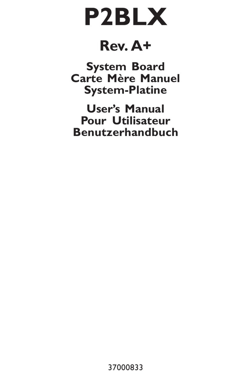 DFI P2BLX User manual
