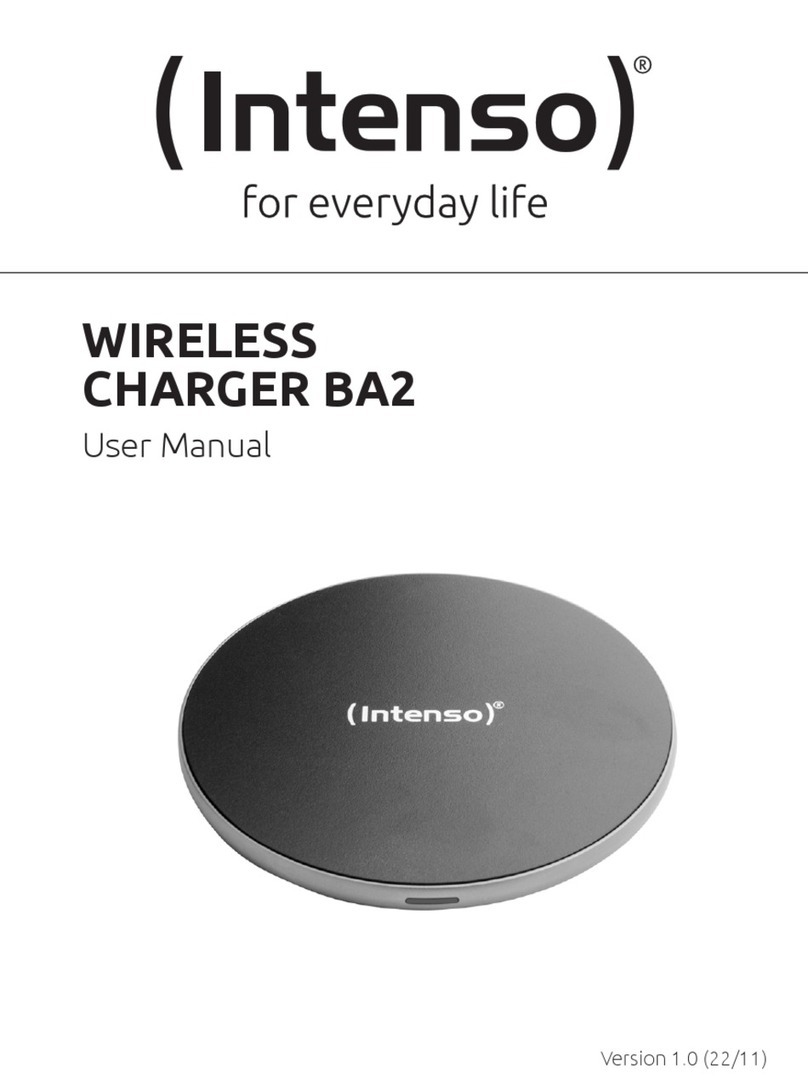 Intenso BA2 user manual
