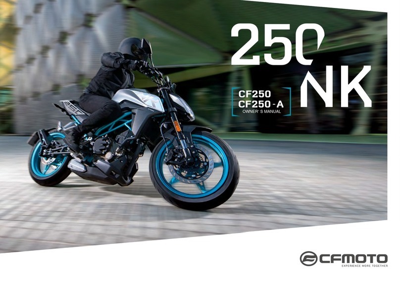 CF MOTO CF250 User manual