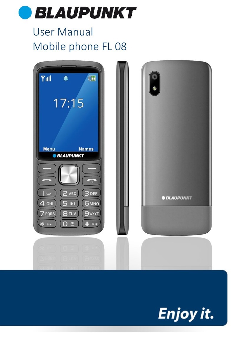 Blaupunkt FL 08 user manual
