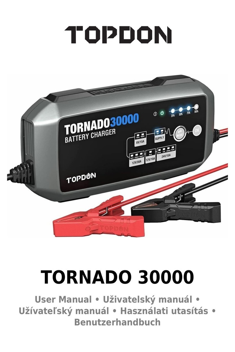 Topdon Tornado 30000 user manual