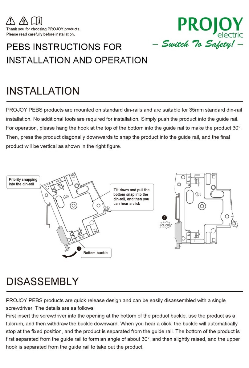 Projoy Electric PEBS Instructions for installation and operation Projoy Electric PEBS Instructions for installation and operation