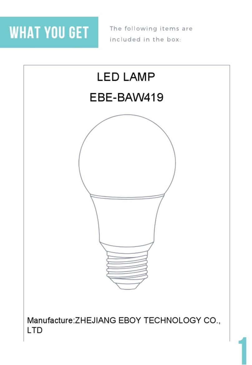 EBOY TECHNOLOGY EBE-BAW419 User manual