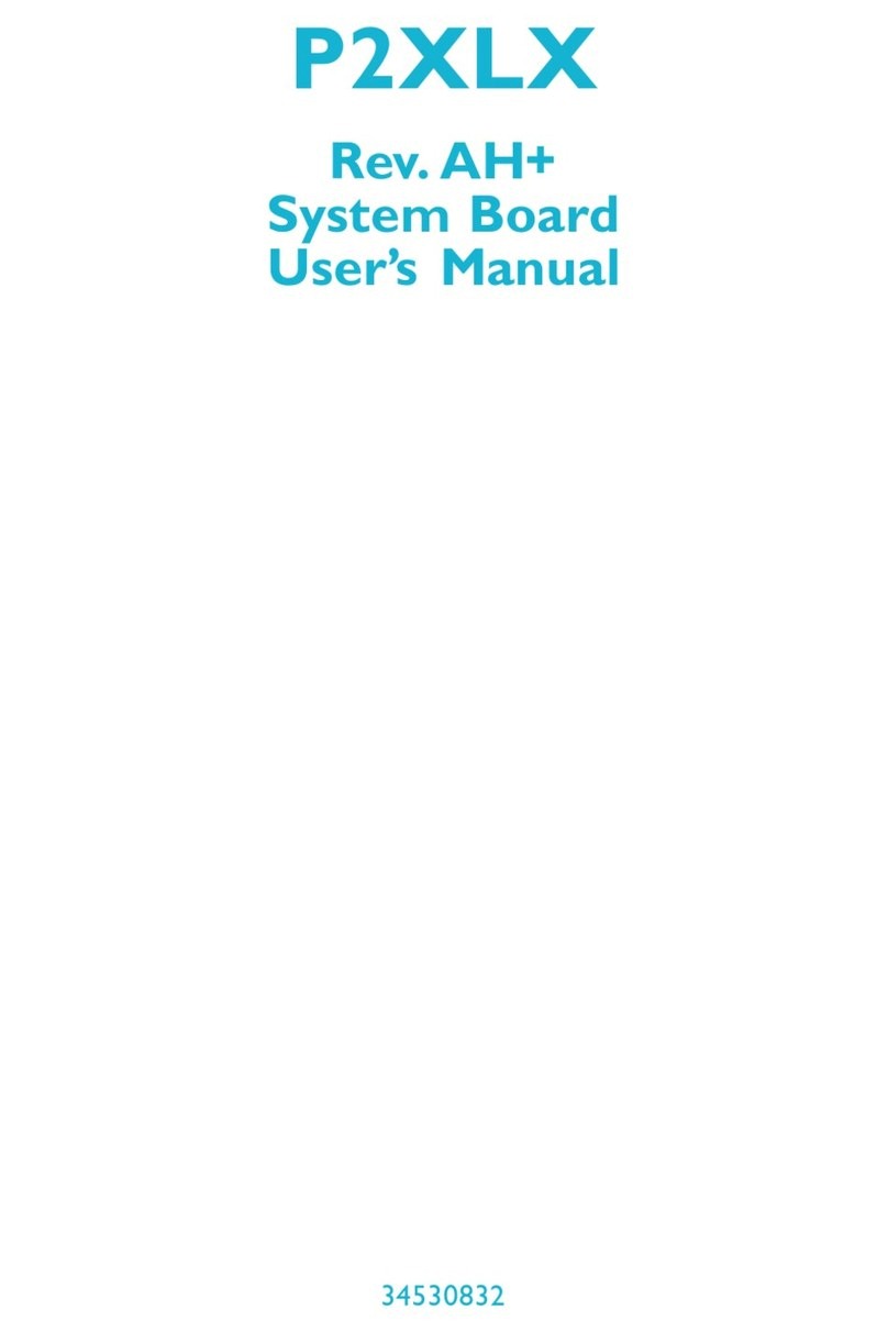 DFI P2XLX user manual