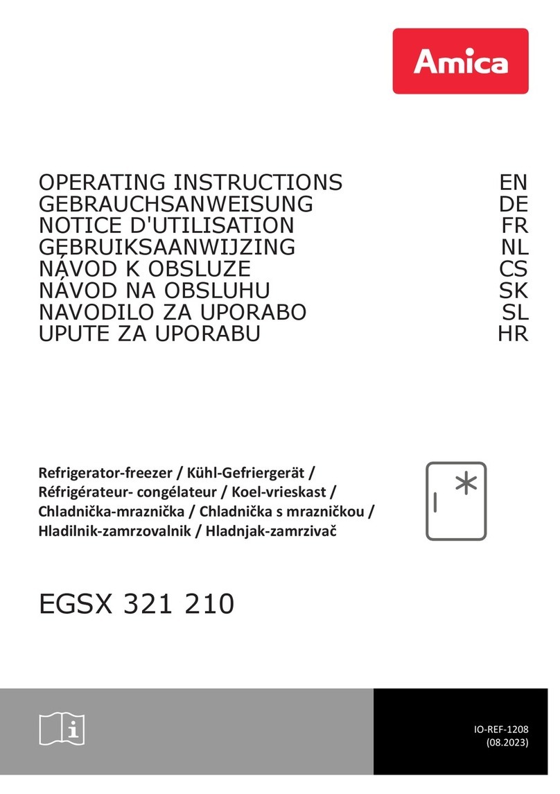 Amica EGSX 321 210 User manual Amica EGSX 321 210 User manual
