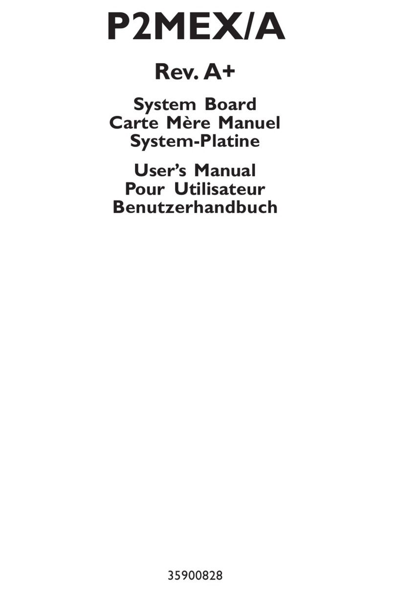 DFI P2MEX/A user manual