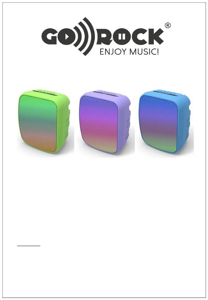Go-Rock GR-60 user guide