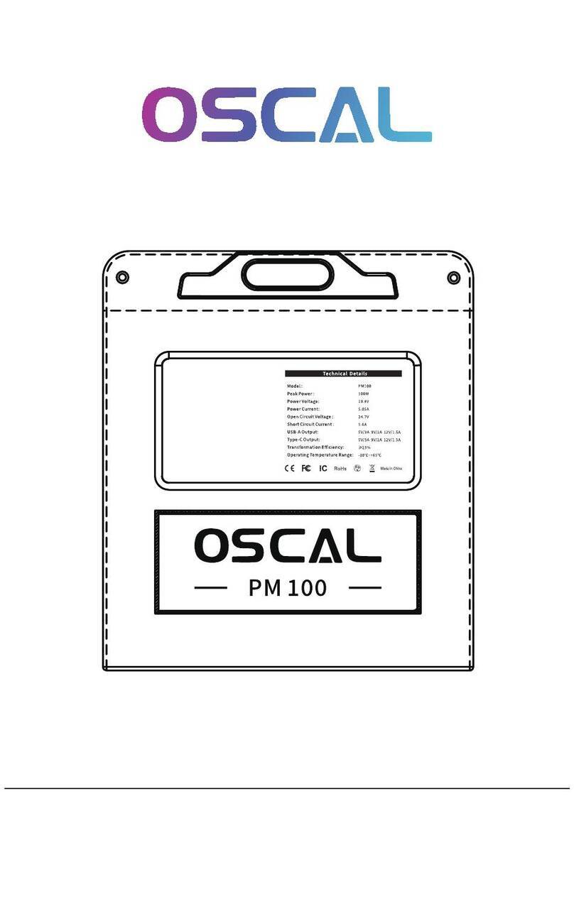 OSCAL PM100 User manual