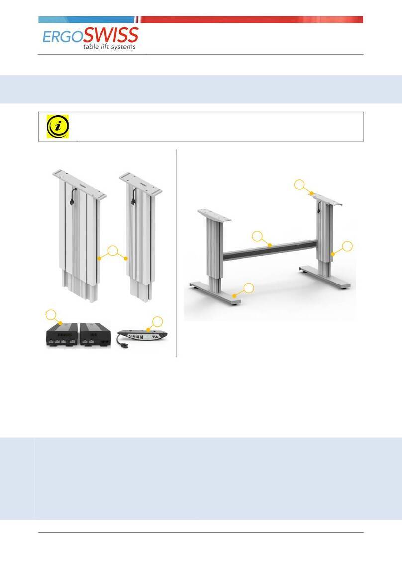 Ergoswiss SL 13 Series User manual