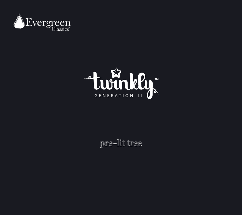 Evergreen Classics twinkly II Manual