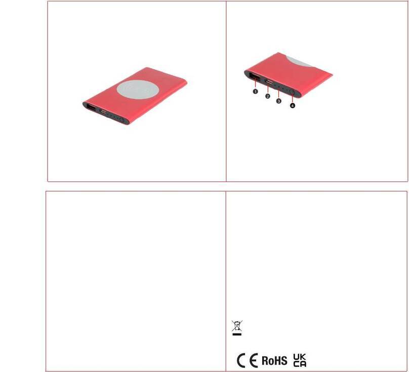 Cool Collection RaluWir AP864038 user manual