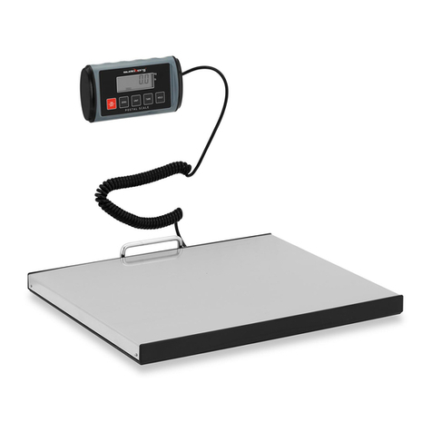 Steinberg Systems SBS-PT-200S User manual