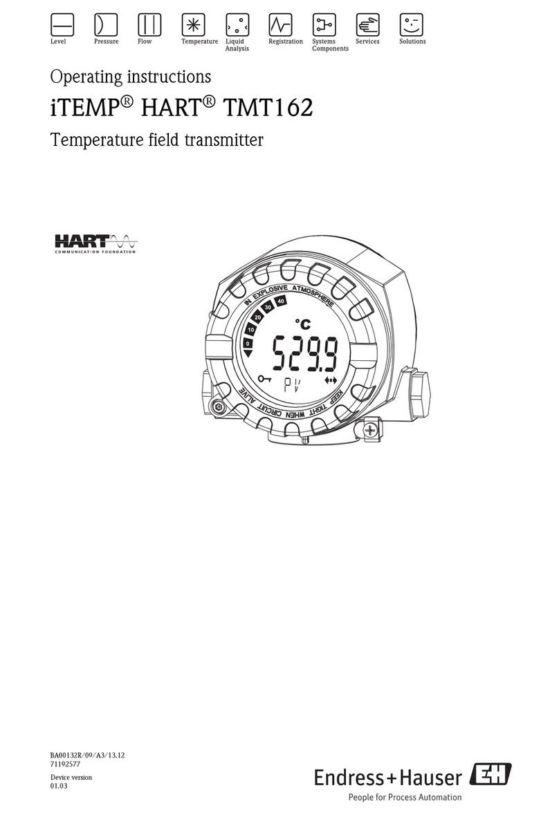 Endress+Hauser iTEMP TMT162 operating instructions
