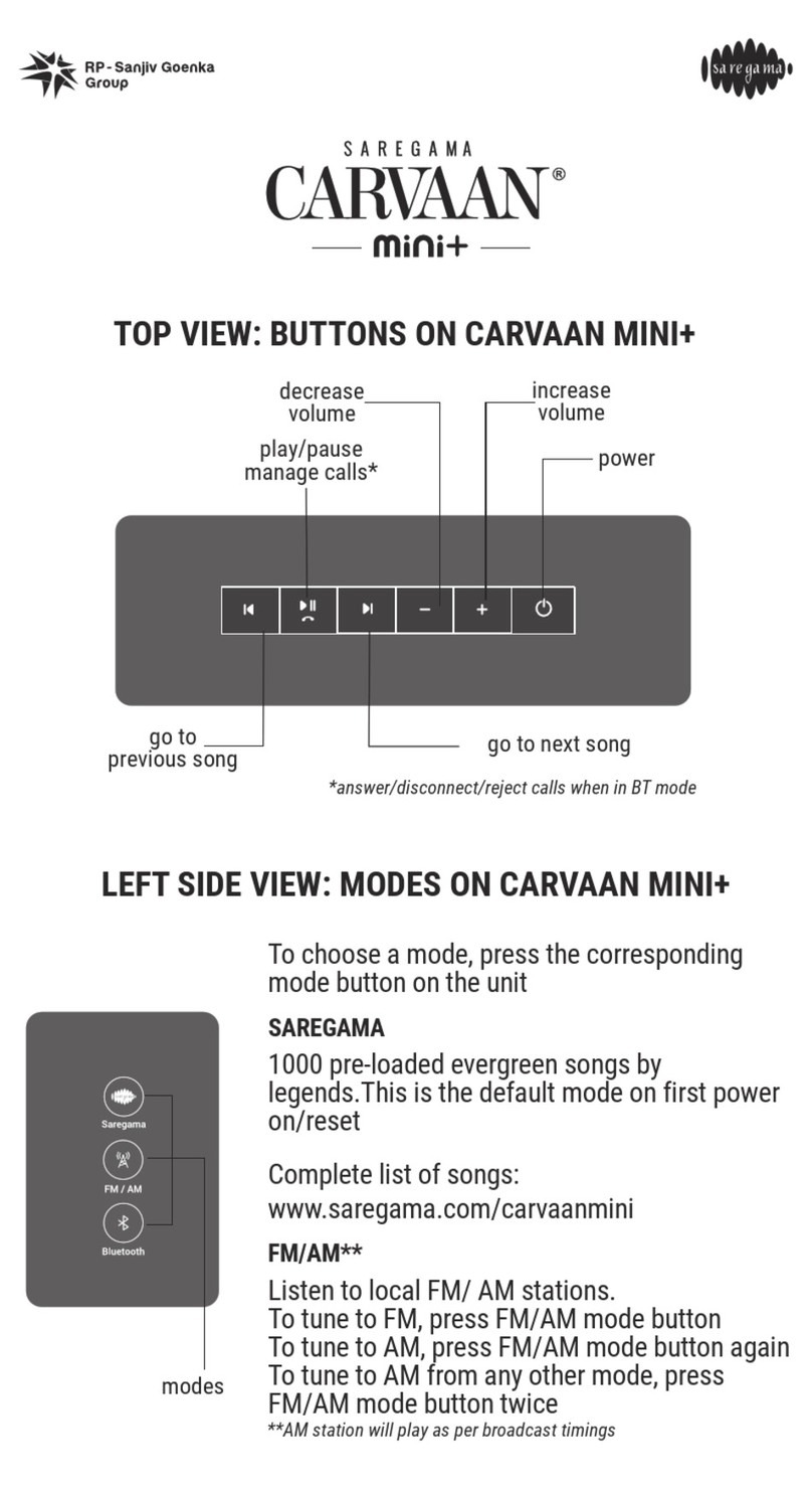 RP SAREGAMA CARVAAN mini+ manual