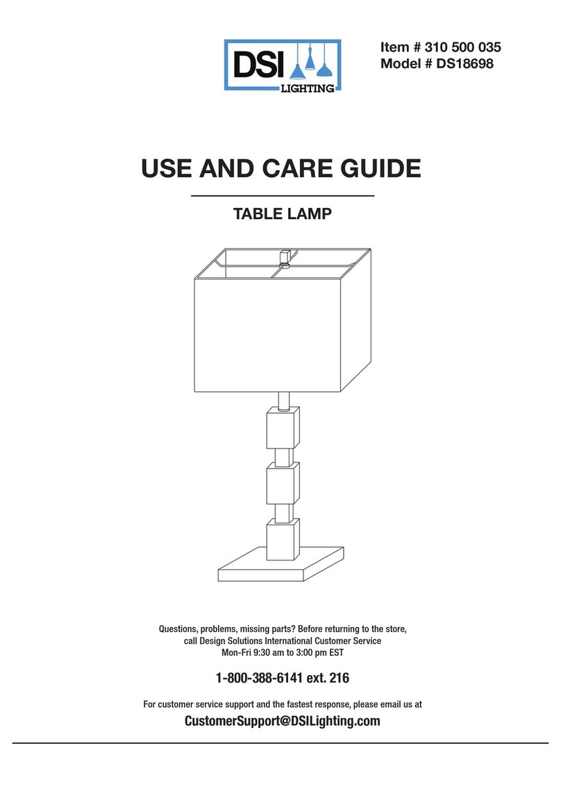 DSI LIGHTING DS18698 User manual