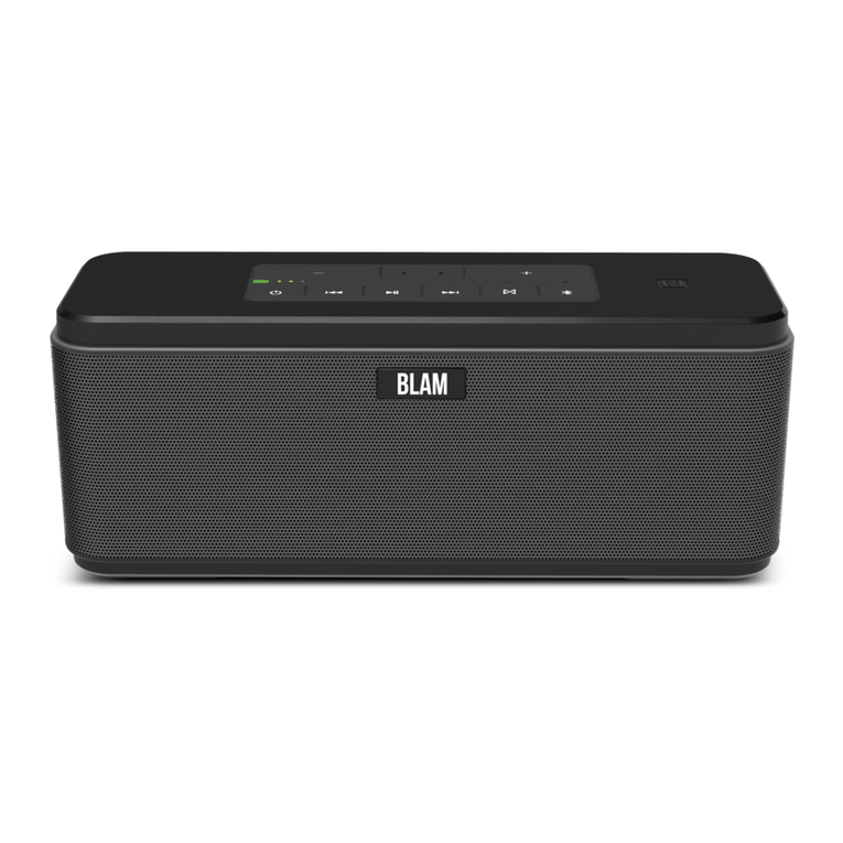BLAM BT30 User manual