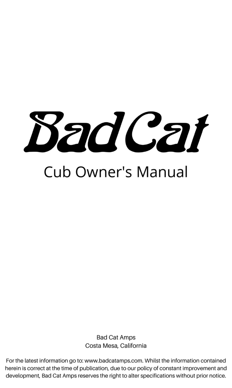 Bad Cat Cub owner's manual