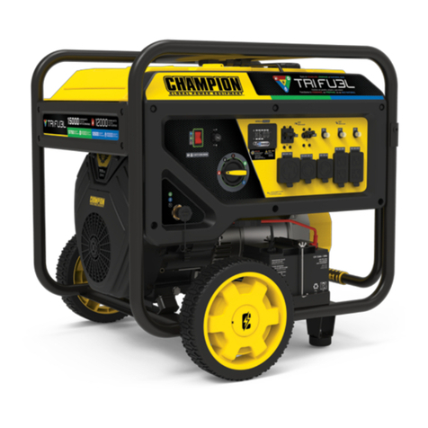 Champion 201161 User manual
