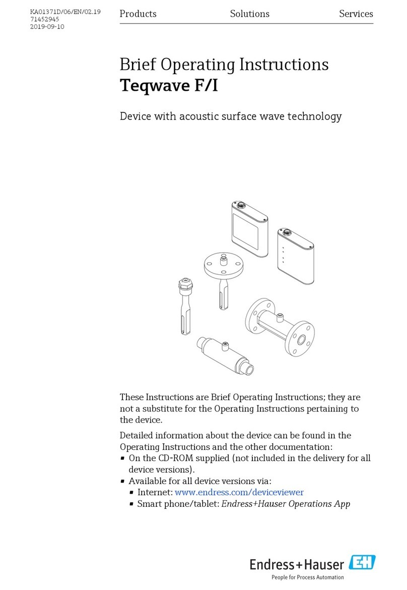 Endress+Hauser Teqwave F/I Brief operating instructions Endress+Hauser Teqwave F/I Brief operating instructions