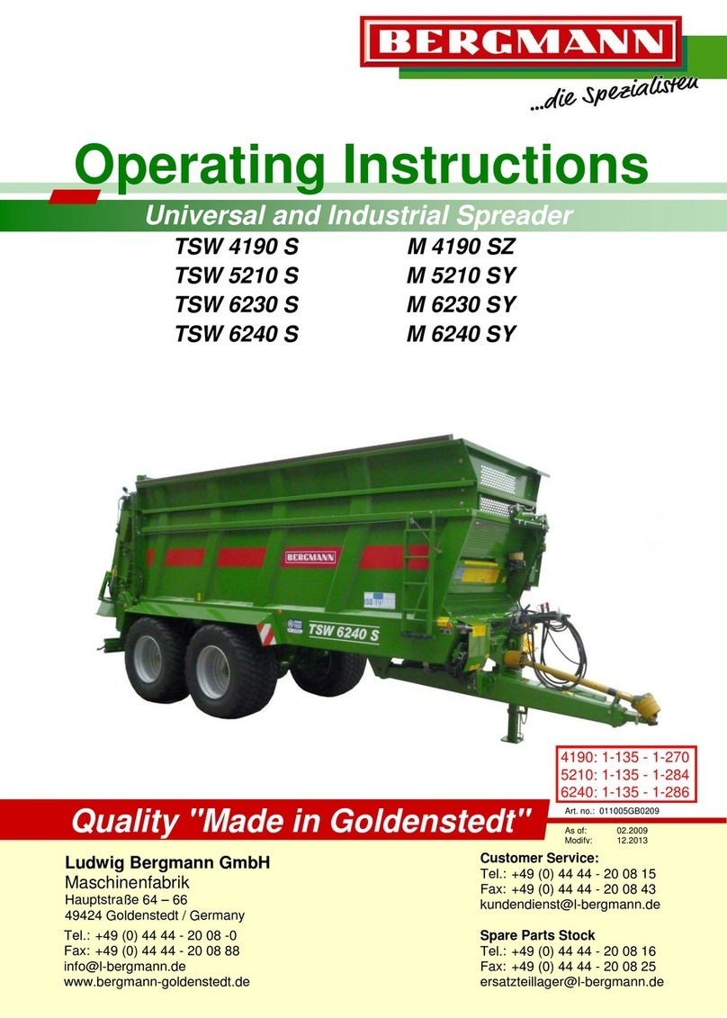 bergmann TSW 4190 S User manual