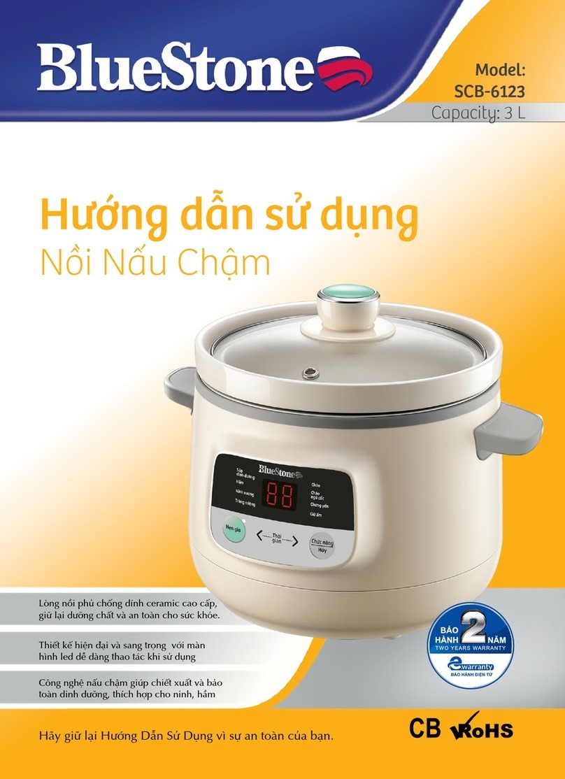 BLUE STONE SCB-6123 User manual