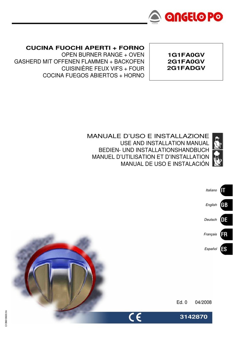 Angelo Po 1G1FA0GV Technical specifications