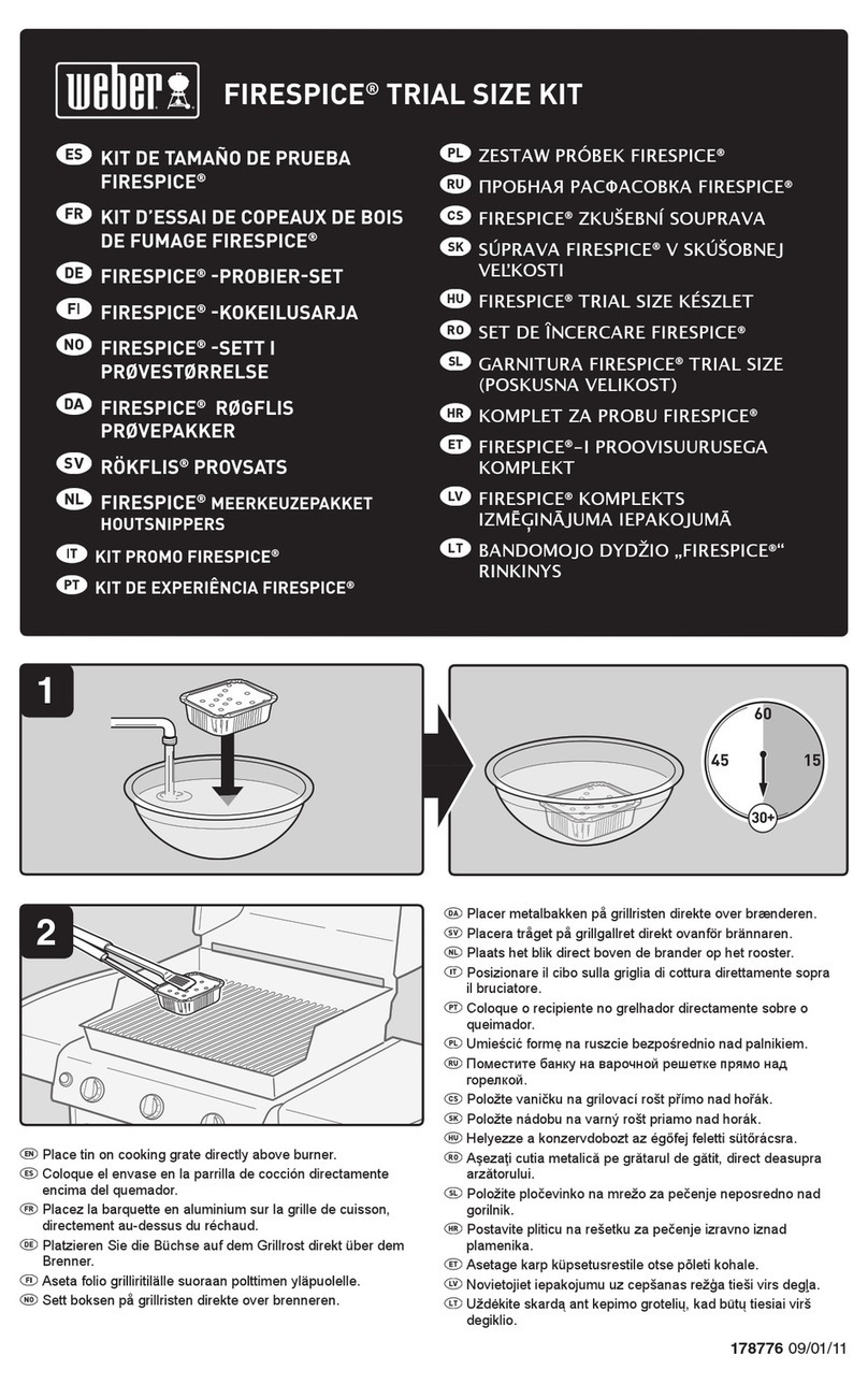 Weber FIRESPICE User manual