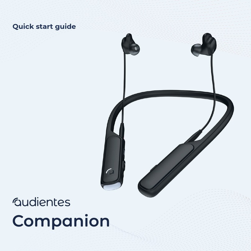 Audientes Companion quick start guide