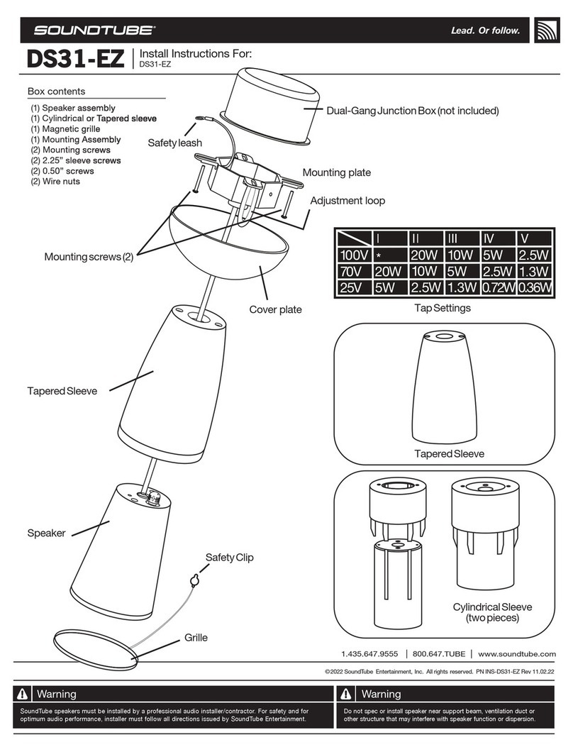 Sound Tube DS31-EZ User manual