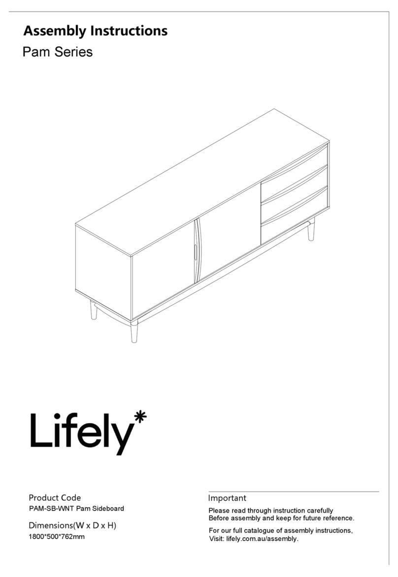 Lifely Pam Series User manual
