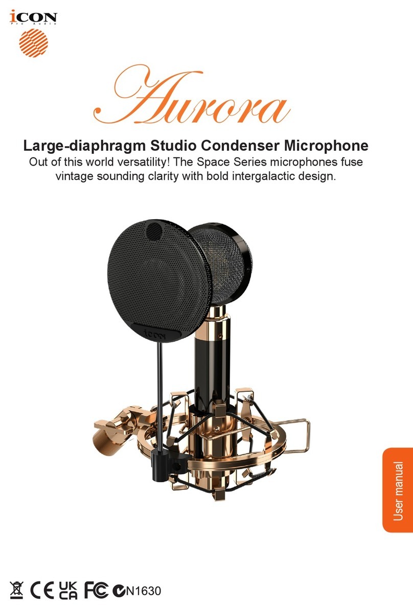 ICON Aurora user manual
