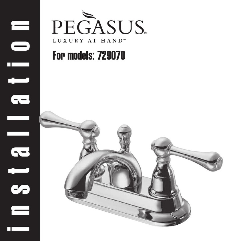 Pegasus LUXURY AT HAND 729070 Installation
