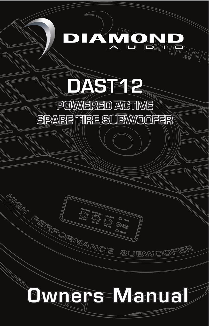 Diamond Audio DAST12 owner's manual Diamond Audio DAST12 owner's manual