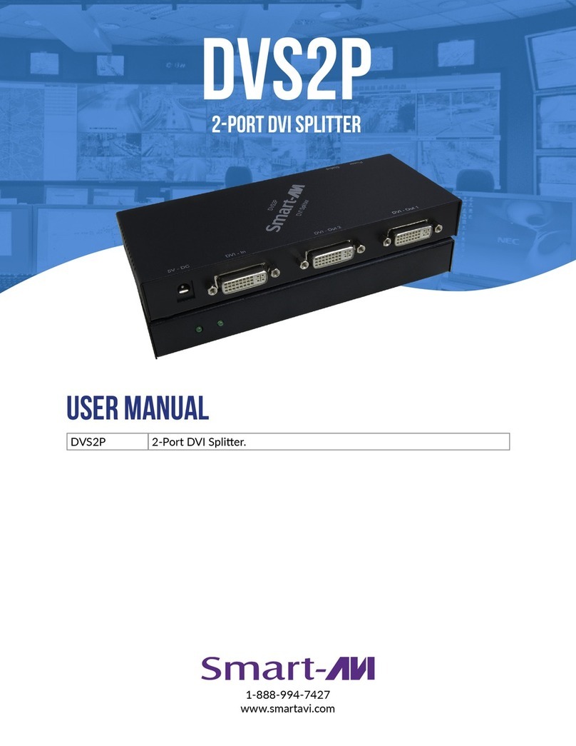 SMART-AVI DVS2P User manual SMART-AVI DVS2P User manual