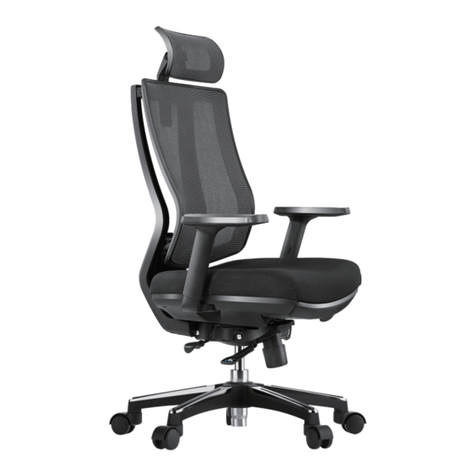 OdinLake Ergo PRO A633-1 user guide